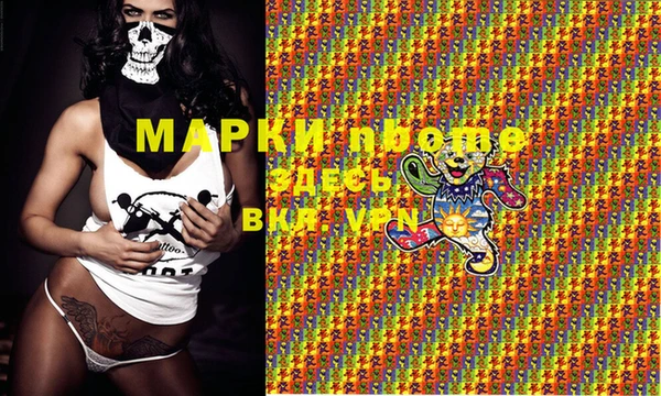 стаф Вязники
