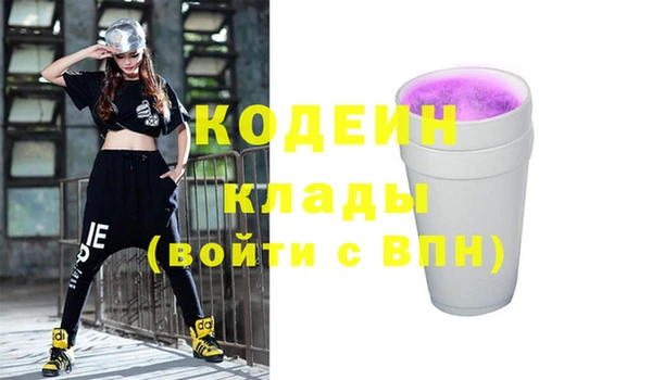 МДПВ Вяземский