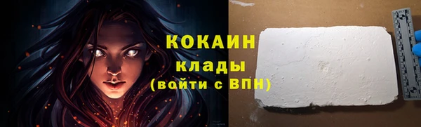 МДПВ Вяземский