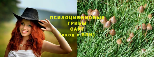 стаф Вязники