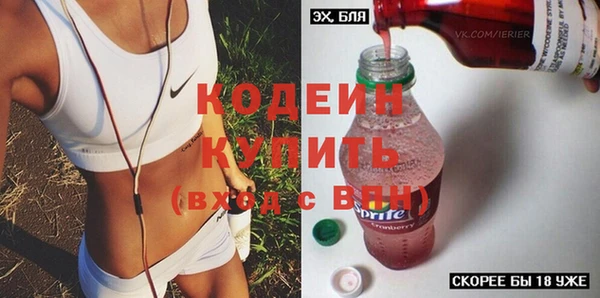 МДПВ Вяземский