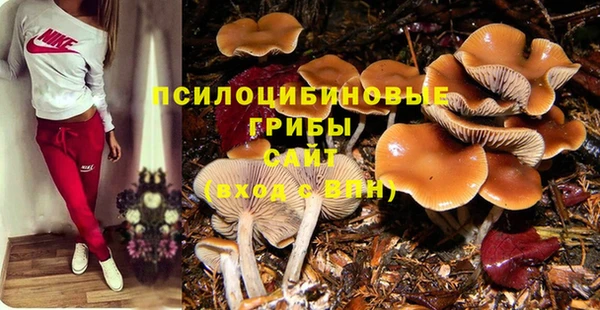 МДПВ Вяземский