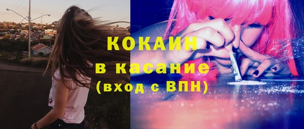 стаф Вязники