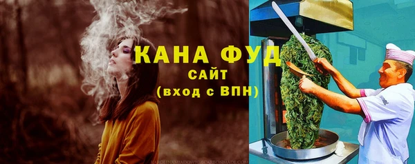 МДПВ Вяземский